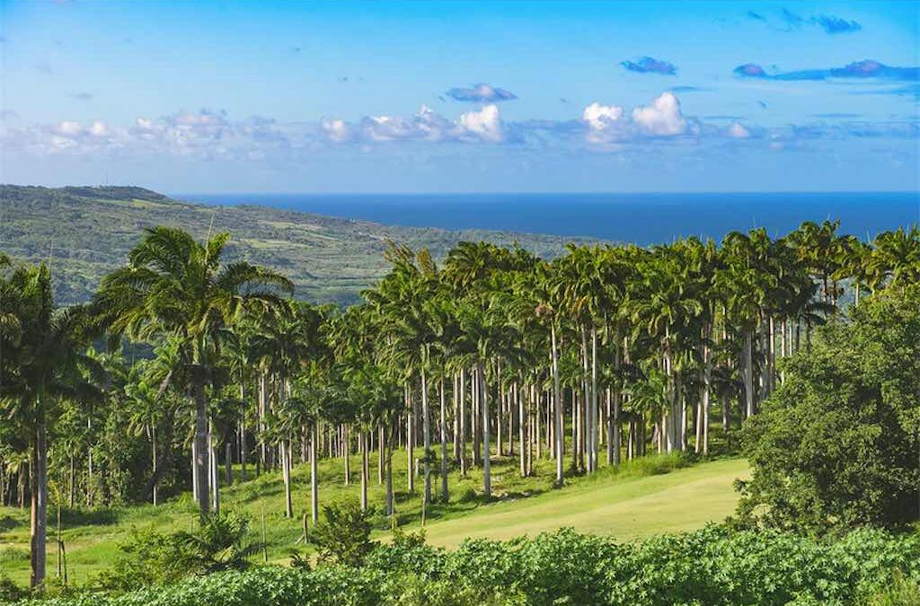 Apes Hill Barbados Garners Luxury Lifestyle Awards