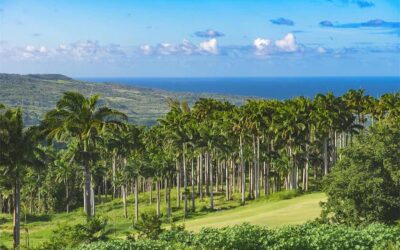 Apes Hill Barbados Garners Luxury Lifestyle Awards