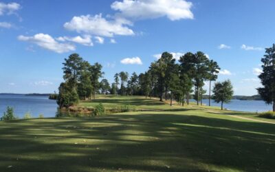 Georgia State Park Golf Cup
