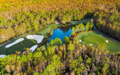 Club at Olde Cypress