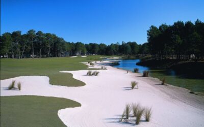 Crescent Pointe Golf Club Acquired by Metropolitan Golf Group
