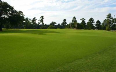Putt for Dough: Santee’s Palmetto Traverse