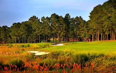 Pinehurst No. 8 to Undergo Agronomic Remastering