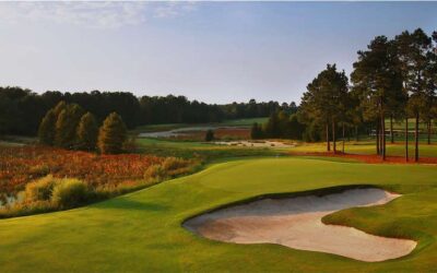Pinehurst No. 8