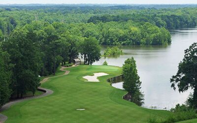 Capital Hill – Judge: One of the Best You Can Play