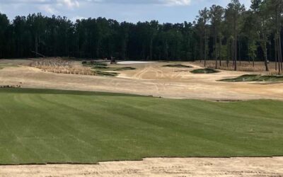 Broomsedge Golf Club Begins Sodding for Fall Opening
