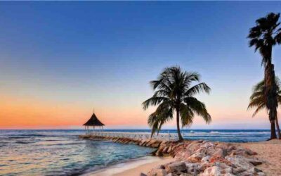 Salamander to Manage Half Moon Jamaica