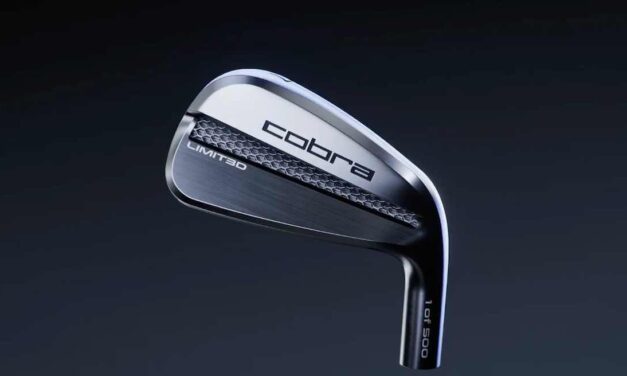 LIMIT3D Irons