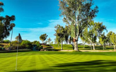 Mesa County Club Begins Renovation Work