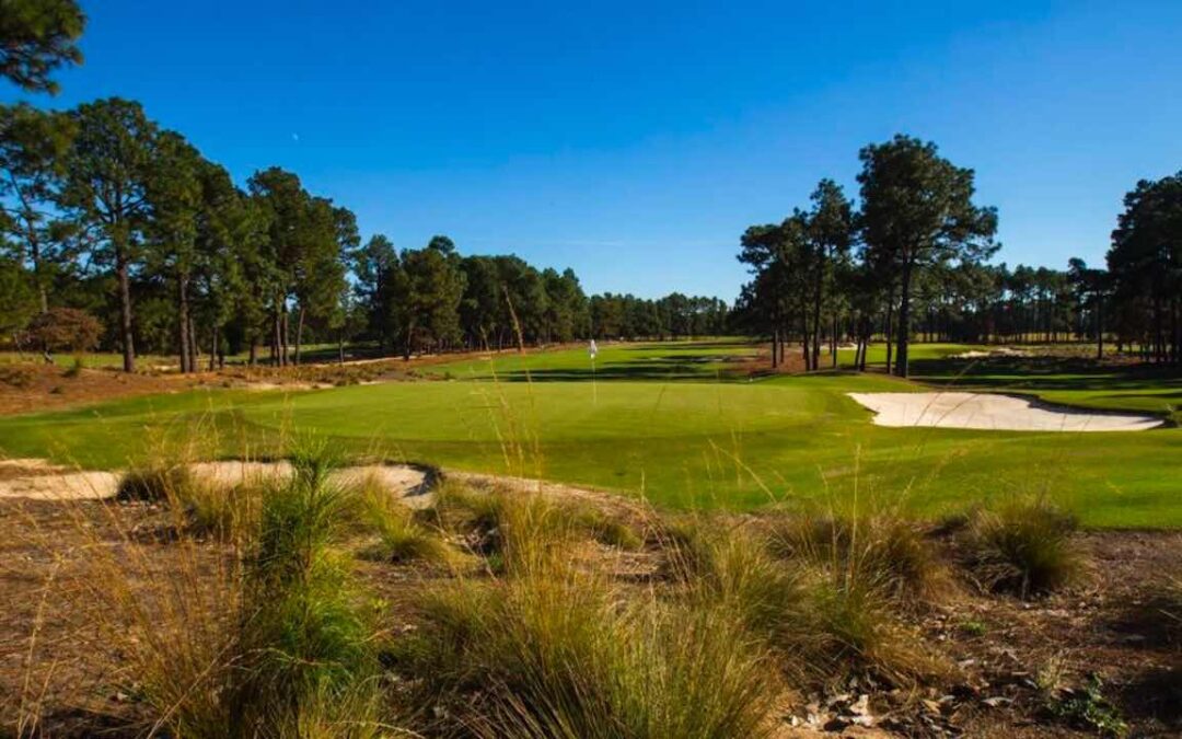 Signs of the (Golf) Times in Moore County, NC