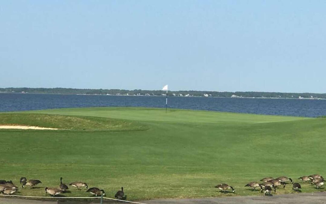 Set Course(s) for the Outer Banks