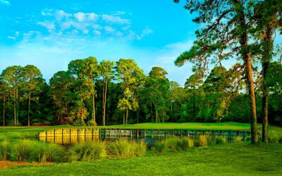Palmetto Hall Golf and Country Club