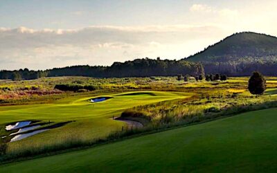 Farmlinks at Pursell Farms