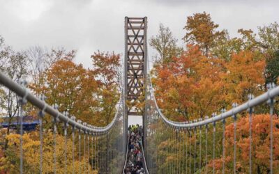Skybridge Michigan at Boyne Mountain