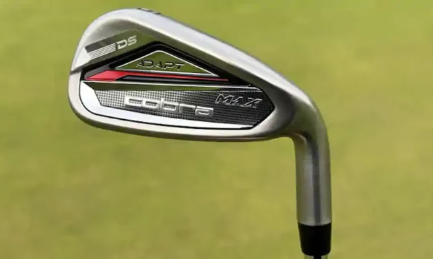 Cobra DS-Adapt Irons