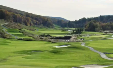 Sara Kearney Named as KemperSports Chief Marketing Officer