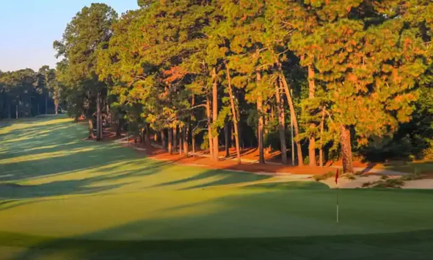 Babygrande Golf to Break New Ground with Live Stream of Babygrande Donald Ross Collegiate