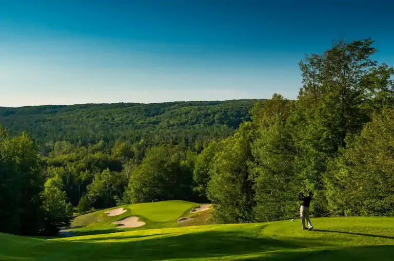 treetops