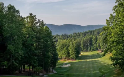 Champion Hills Triumphs with Heart: An Inspiring Story of Resilience and Restoration