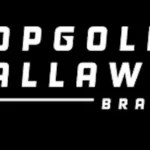 Tariff Impact Could Reach $25M on Topgolf Callaway