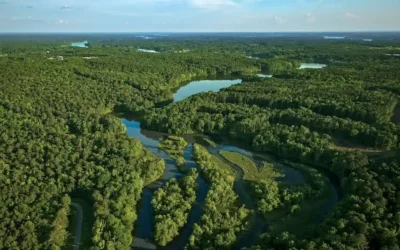 Fenmoor Golf Club: Reynolds Lake Oconee’s 8th Golf Course Announced
