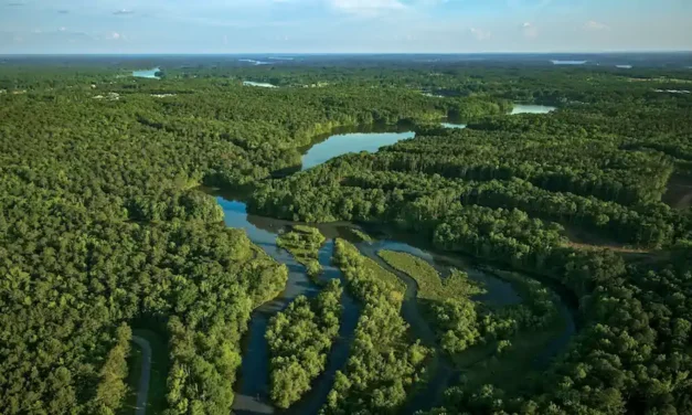 Fenmoor Golf Club: Reynolds Lake Oconee’s 8th Golf Course Announced