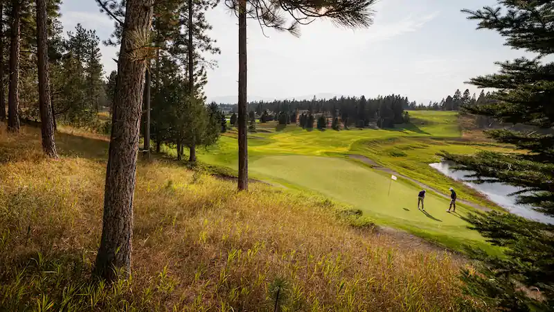 Wilderness Club