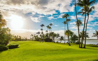 Paradise Greener: Puerto Rico’s Golf Courses Lead the Way in Sustainability