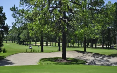 Wallace Adams Golf Course Delivers Pure Georgia Charm