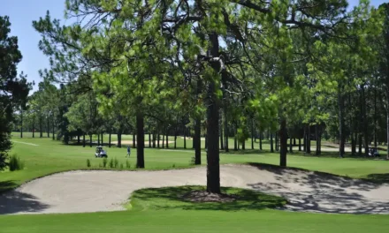 Wallace Adams Golf Course Delivers Pure Georgia Charm