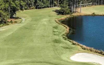The Lakes Golf Course: Where Nature Meets Championship Golf