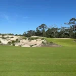 Great Dunes Reborn: A Triumphant Reopening on Jekyll Island