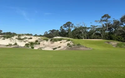Great Dunes Reborn: A Triumphant Reopening on Jekyll Island