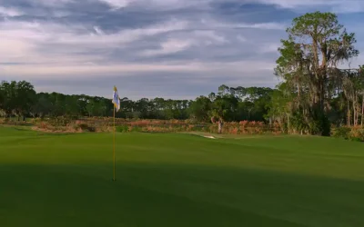 It’s Called “The Happiest Place on Turf!” for Good Reason.