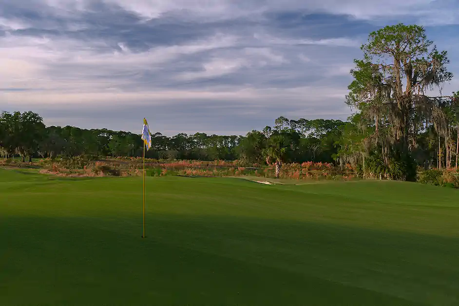 The Happiest Place on Turf