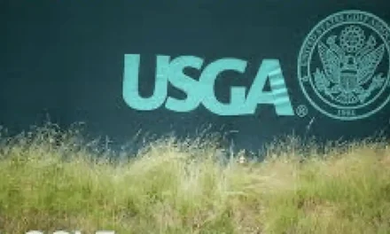 The Case for Bifurcation