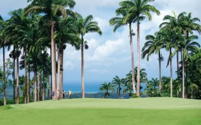 Barbados Elevates the Legends Experience at Apes Hill