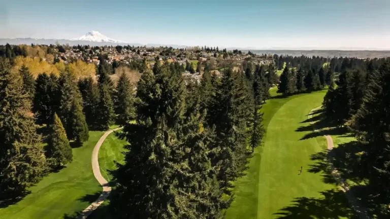 Campo de Golfe Cedar Irons