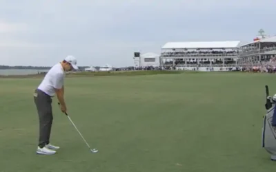 Fitzpatrick Defeats Scheffler in Playoff at RBC Heritage