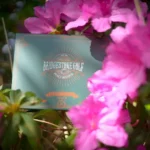 Peach Reserve Vault: Bridgestone’s Inspiring Tribute to Spring’s First Major