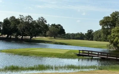 Mountain Lake: Restoring the Majesty to the Historic Raynor Design