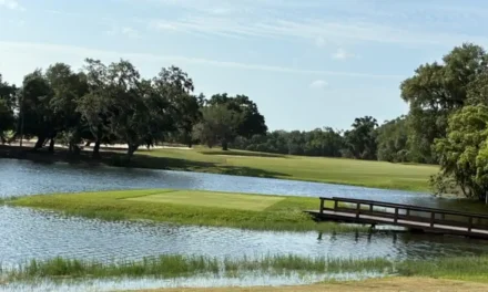 Mountain Lake: Restoring the Majesty to the Historic Raynor Design