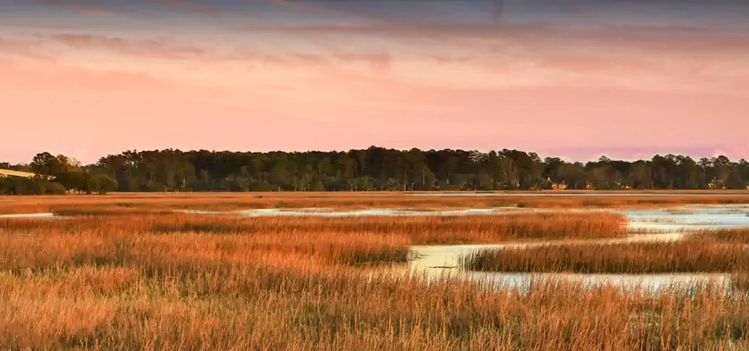 The Landings on Skidaway Island: Coastal Living, Championship Golf, and Exceptional Real Estate Opportunities