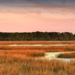 The Landings on Skidaway Island: Coastal Living, Championship Golf, and Exceptional Real Estate Opportunities