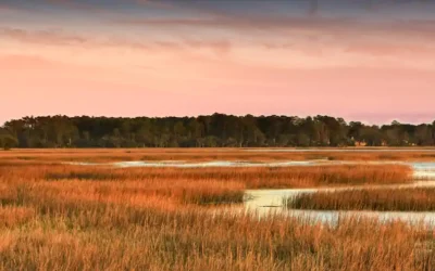 The Landings on Skidaway Island: Coastal Living, Championship Golf, and Exceptional Real Estate Opportunities