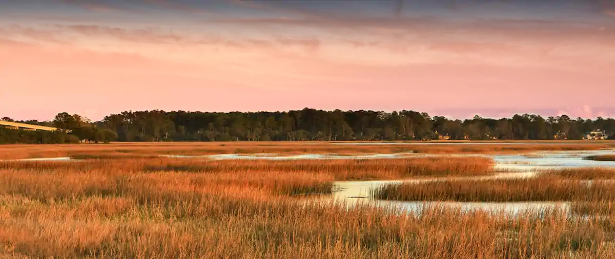 The Landings on Skidaway Island