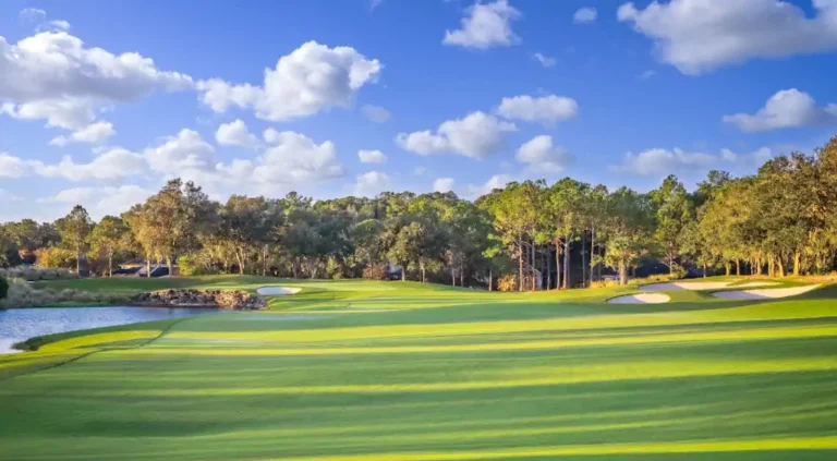 World Golf Village Landscape