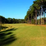 Final Results: 2026 Georgia State Parks Golf Cup Championship
