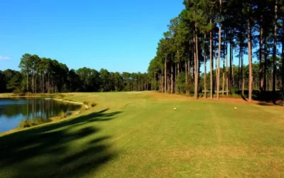 Final Results: 2026 Georgia State Parks Golf Cup Championship