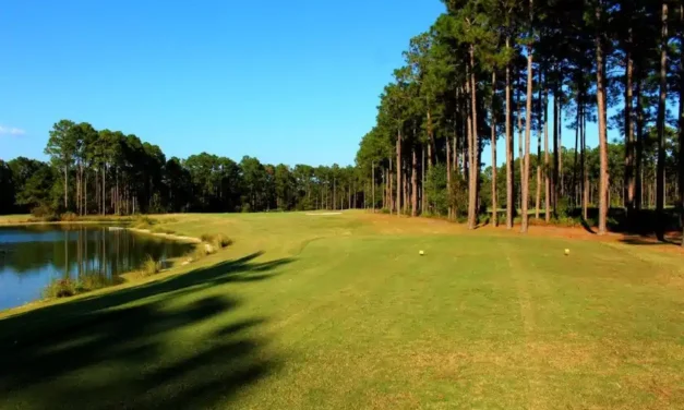Final Results: 2026 Georgia State Parks Golf Cup Championship